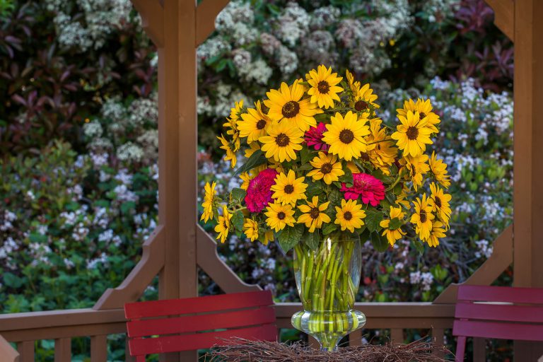 Sunfinity sun flowers in vase